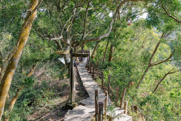 [台中]聚興山2703793