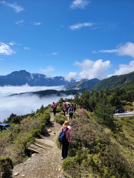 2026-0517-合歡北峰初探3066510