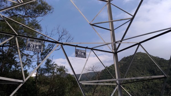 鯉魚山+忠勇山+大崙頭尾山+圓覺寺步道519515