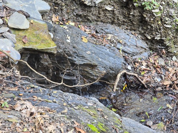 卓社大山〔武界栗栖溪登山口起登〕2748380