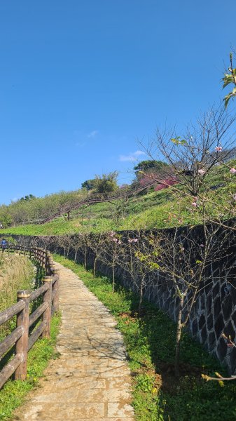 2025-0130溪和宮-大崎頭步道-鵝尾山-平溪步道-鵝尾山水田-42巷-溪山百年古圳-平菁步道2701913