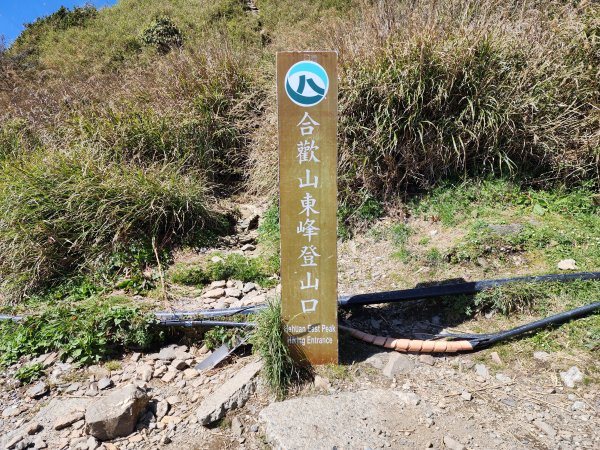 百岳No.35⛰合歡東峰2498785