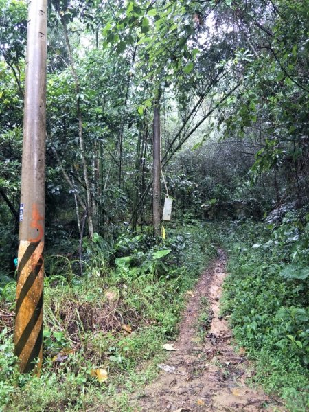 八通闗古道_社寮段1434418