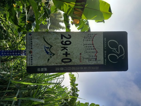 2026樟之細道：出關（聖關），老官道，挑沙古道及新開至卓蘭