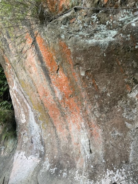 【鳶山山系】鳶山彩壁2858073