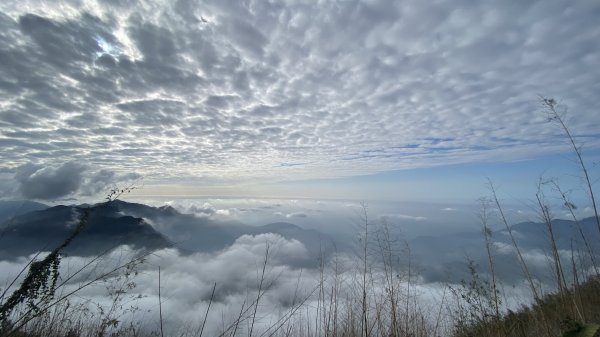 20250119二延平步道2716345