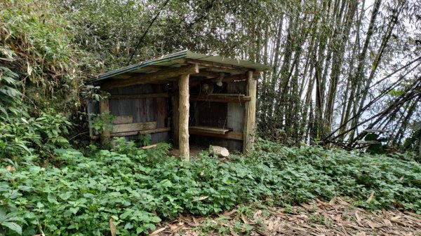 大棟山 關子嶺，  曲積山 那瑪夏 ，王爺崙 南化1940299