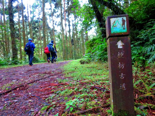 淡蘭古道輕旅行:坪溪古道出外澳546096