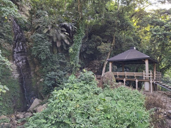 《南投》瀑布茶園｜竹山瑞龍瀑布步道及山坪頂茶山七星步道202609273124260