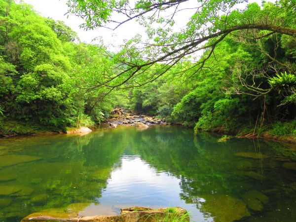 [台北雙溪]．虎豹潭古道．樓仔厝古道360141