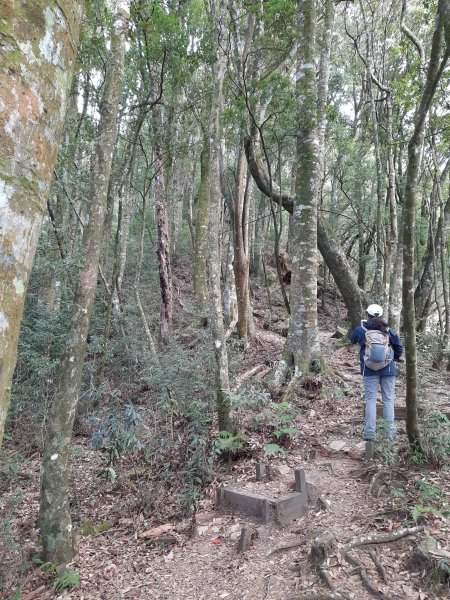 20230127 台中稍來山（中級山小百岳），未完屋我尾，阿水牛肉城2008176