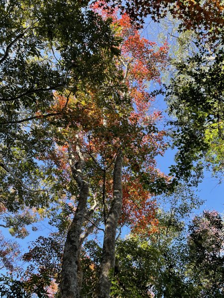 馬拉邦山-楓情萬種1545618