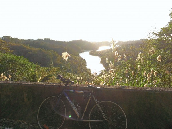寶山水庫環湖步道--with Bike247917