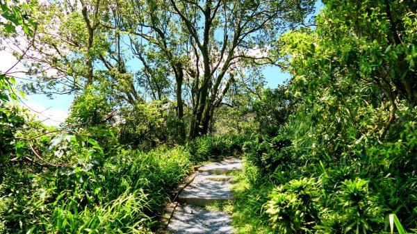 微笑山線烘爐地土地公段2860656