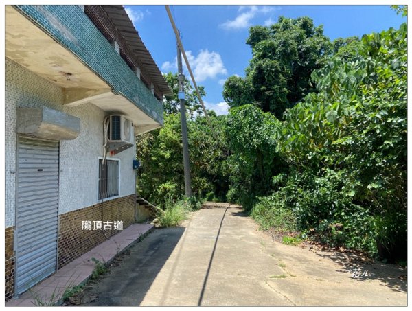 南投台、隴頂古道、員林廣天宮、員林神社 連走3112710