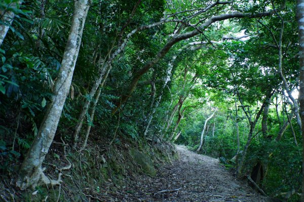 宜蘭 南澳 澳花山2881273