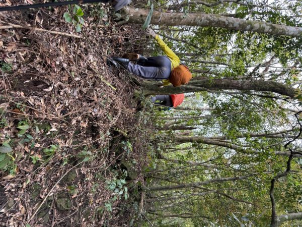桂山路197巷 》呂奔山北峰 》呂奔山 》阿玉壩2755819
