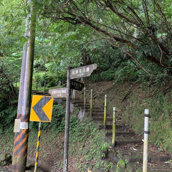 20260510天上山3053474