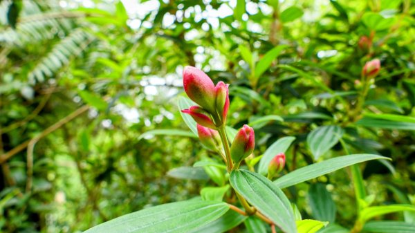 白雲派出所。蒙格不驚2759924