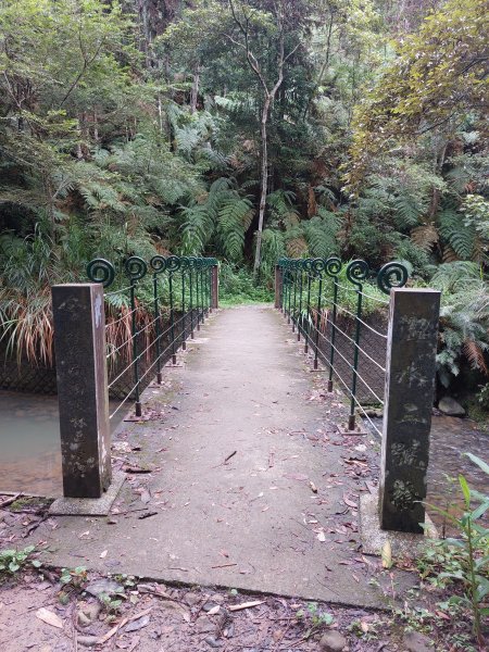 一日魚池三步道：澀水森林步道、魚池尖登山步道、金龍山步道202207021803889