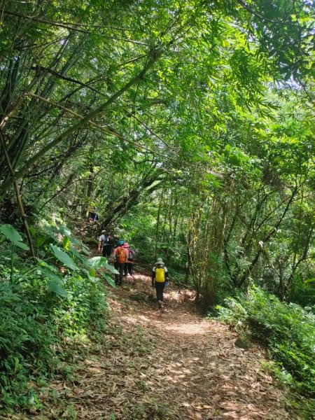 ［五指山古道］+［友蚋山南峰］（新北汐止）（2023/8/23）2261799