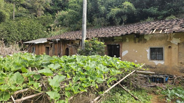 20251218犁頭山-吧哩國山主東峰-石頭坑山西南峰-石頭坑山2967015