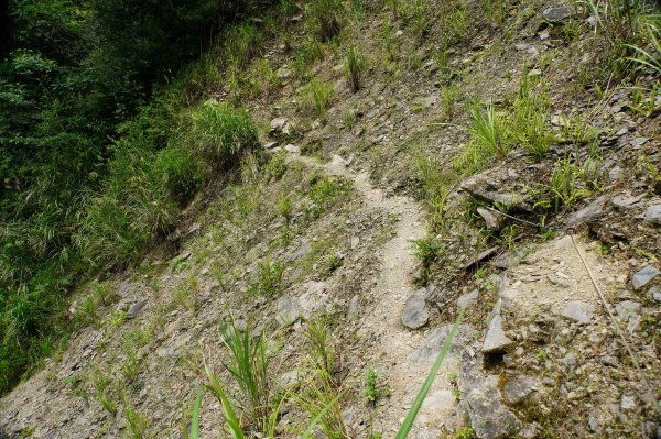 新北 烏來 波露南山3036000