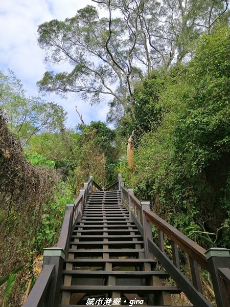 適合賞景健身親子型步道~鳳凰山觀音山步道1244202