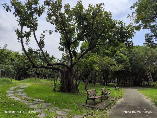 大安森林公園【走路趣尋寶】【臺北健走趣】2536222