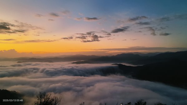 #翡翠水庫 #琉璃光 #日出 #雲海  #藍腹鷴 3/132734643