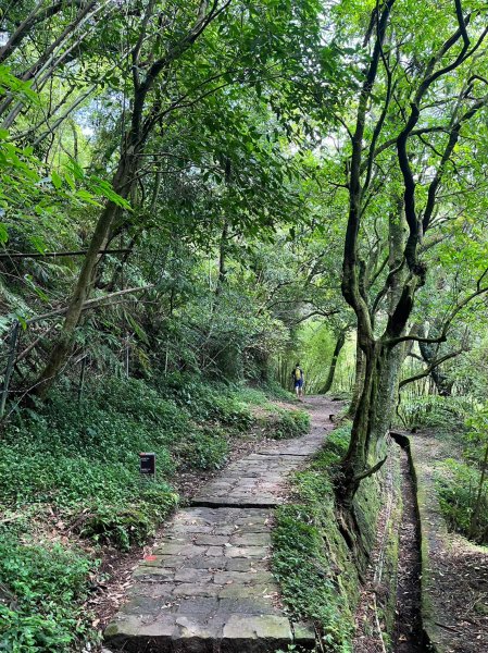 台北 陽明山 絹絲瀑布-擎天崗2722164