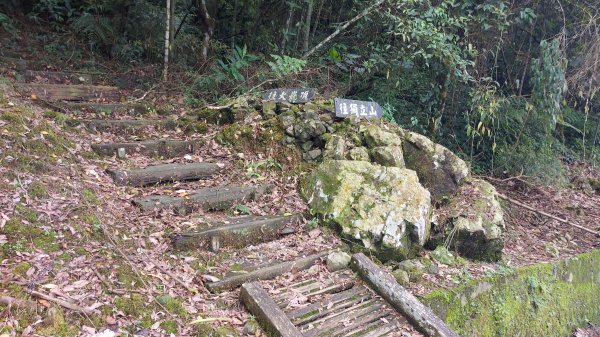 雲嘉九連峰1438969