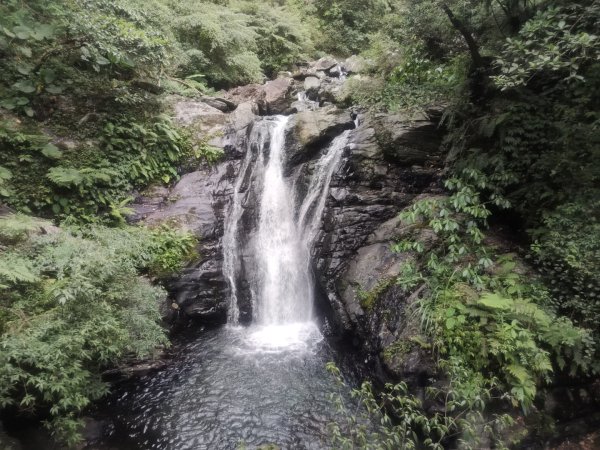 1150728新寮瀑布步道3096893