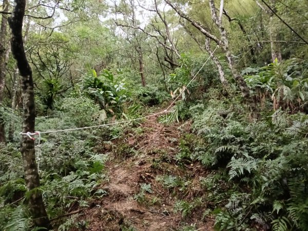 雙溪區艋舺崙古道+新路尾山+大竹林山出雙溪車站2998642