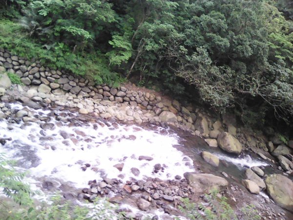 滿月圓國家森林遊樂區1205162