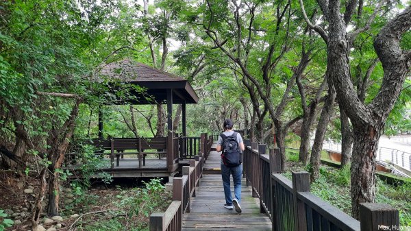 《台中》牛罵頭遺址｜清水鰲峰山公園步道202307232229927