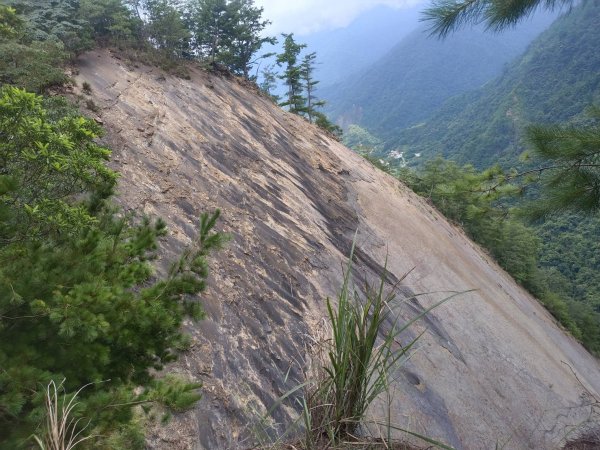 20230902台中和平隘勇求安線白毛山東北峰、白毛山、白毛山西南峰、臭頭山、白毛山北峰、沙蓮山西南2269956