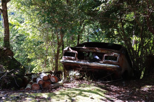 熊野参詣道小辺路：山と村をつなぐ古の道2923368