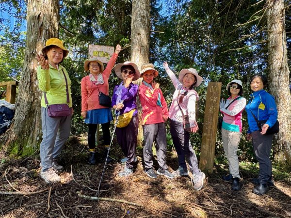 瞭望台-瓊山-望美山-獵人古道