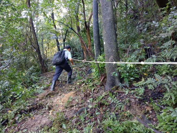 雙溪區雙坪一號橋+盤山坑山+土地公山+474峰+石硿子越嶺古道O型2936393