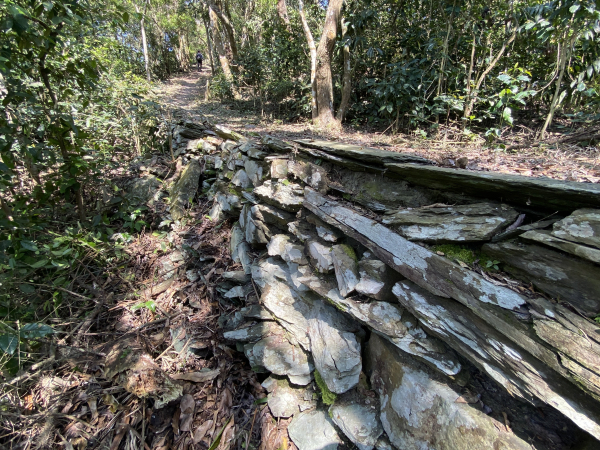 【高雄】六龜警備線～南段草津至庄野