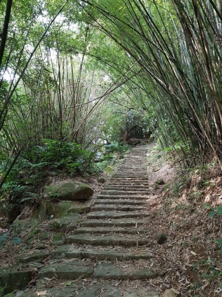 2018.09.21 士林平頂古圳567473