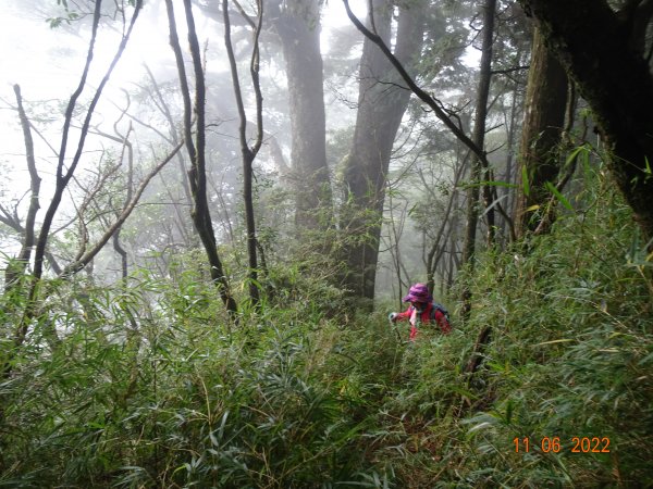 塔山（中塔山）1901594