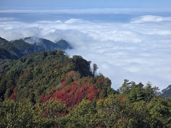 鳶嘴稍來山之楓紅／雲海2974047