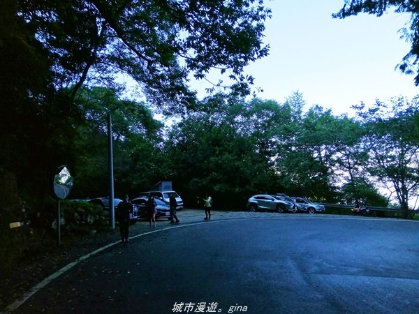 【台中。和平】綠蔭杉林大口森呼吸。 橫嶺山自然步道x橫嶺山主峰1497923