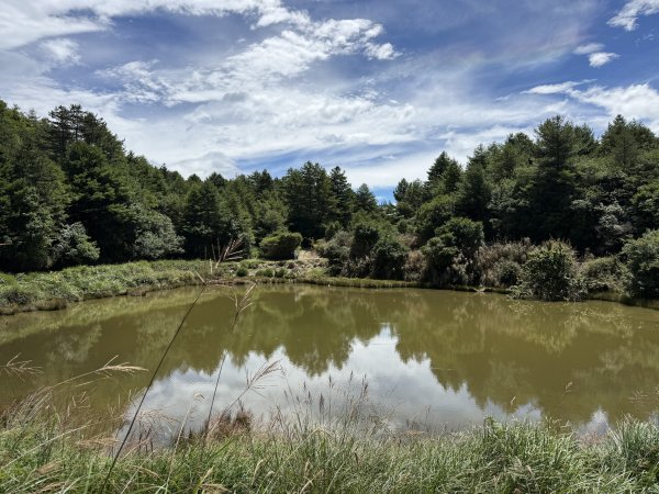 84稍來小雪山步道及天池神木11508183110063
