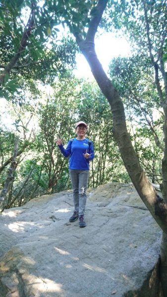 【臺北親山拓印趣】林蔭青蔥的大崙頭尾山738357