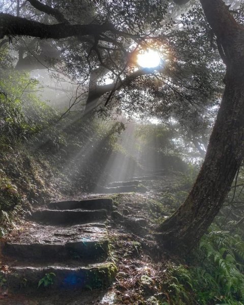 向天山、向面山步道1262028