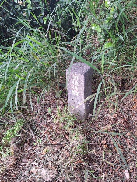 台東鯉魚山11508083115846