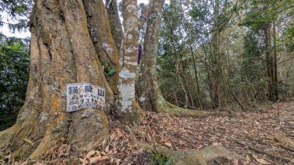 橫龍山、橫龍古道2682917